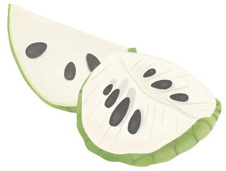 Fototapeta premium custard apple watercolor