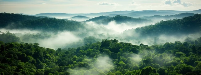  Sustainability net zero carbon negative forest nature Biodiversity Diversity, Generative AI © kanesuan