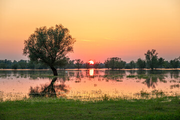 Sonnenuntergang im überschwemmten Auenland: Naturschutzgebiet  Lonjsko Polje