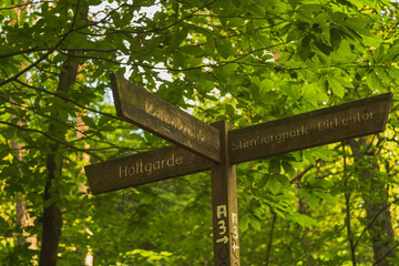 Am Wegekreuz in einem Wald.