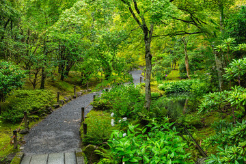 Scenic sight in the beautiful Ryoan-ji Temple in Kyoto. Japan.
