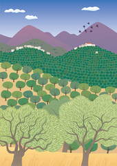 Olive groves. Summer Mediterranean landscape with mountain village and hills full of olive trees. Vector image. - 637019730