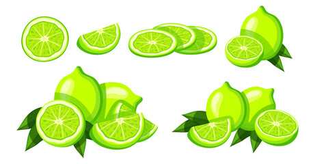 Set of green limes in cartoon style. Vector illustration of delicious, fresh and juicy whole and half limes cut into pieces with green leaves isolated on white background.
