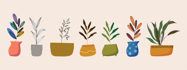 Set of house plants and flowers in pots, vases vector illustration. Home garden concept in flat design.