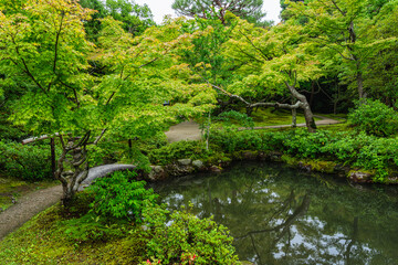 Fototapeta na wymiar Scenic sight in the marvelous Isuien Garden in Nara. Japan.