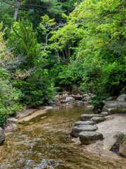 Scenic sight in Momijidani Park in Miyajima (Itsukushima), Hiroshima, Japan.