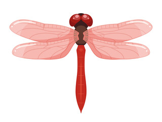 アキアカネのイラスト © ふわぷか