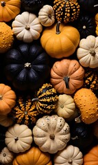 pumpkins, many different colors and shapes of pumpkins, top view, pattern, AI generated