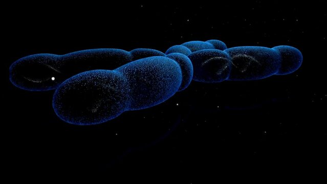 Chromosome X 3D animation. Rendered in HD
