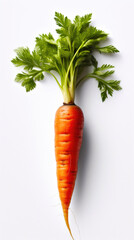 Single Carrot on a Clean White Surface