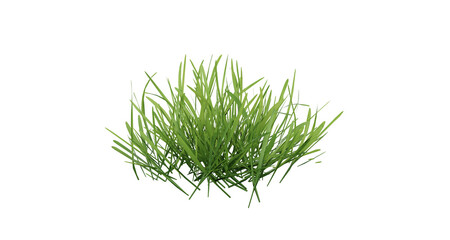 Bunches of grass on a transparent background. 3D rendering.	