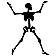 silhouette of a skeleton of the person
