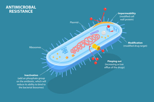 3D Isometric Flat Vector Conceptual Illustration of Antimicrobal Resistance, Medical Educational Diagram