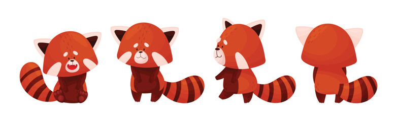 Cute Red Panda Chinese Animal Character with Striped Tail Vector Set