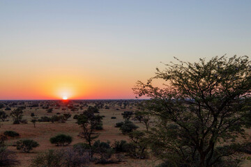 Sunrise at Gharagab Camp, Kgalagadi Transfrontier Park, Kalahari, South Africa