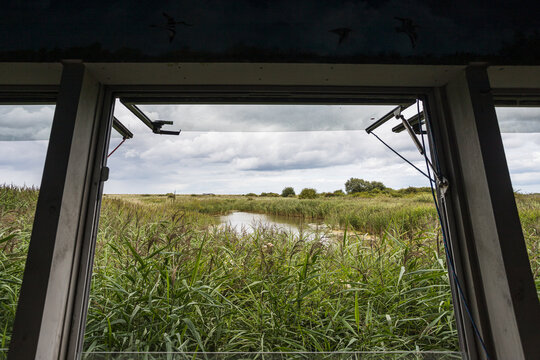 Bird hide view point