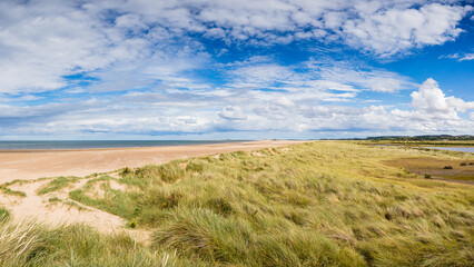 Sand dunes line the beach at Titchwell - 637038108