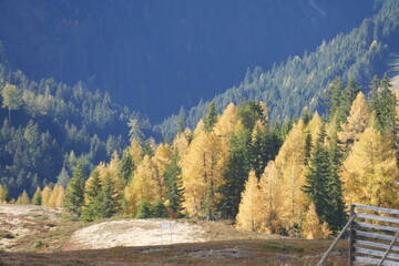 Herbst in den Bergen