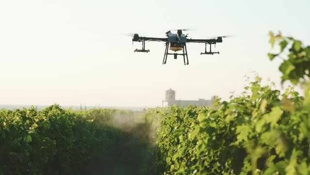 Agriculture smart drone fly spraying fertilizer on vineyards