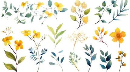 Keuken spatwand met foto Beautiful flowers growing on a tree branch on a white background in various colors © Terablete