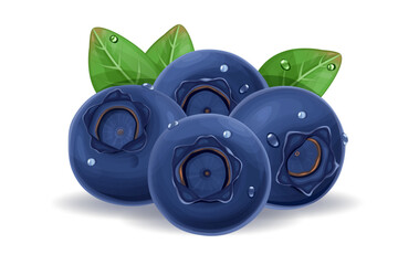 blueberry Isolated on white background. Eps10 vector illustration.
