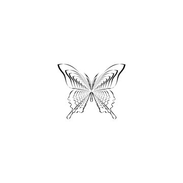 Butterfly abstract icon isolated on white