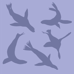 Set of ocean animals (seal, sea calf) silhouettes. Vector illustration. Can be used as seamless pattern, background, textile