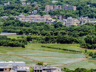 田舎の風景 台湾新竹縣 田園 田植え