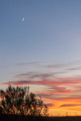 Cielo y atardecer rosa