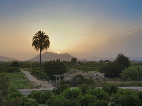 Vega Baja del Segura - Paisajes de la huerta al atardecer