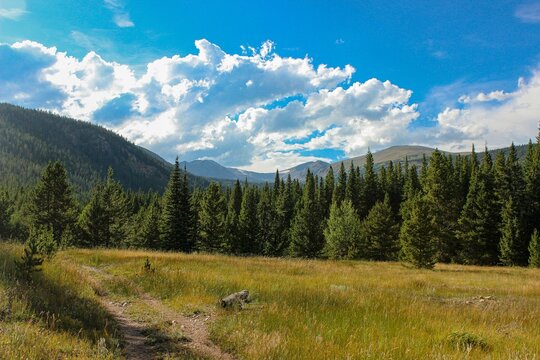 Landscape in the Mountains