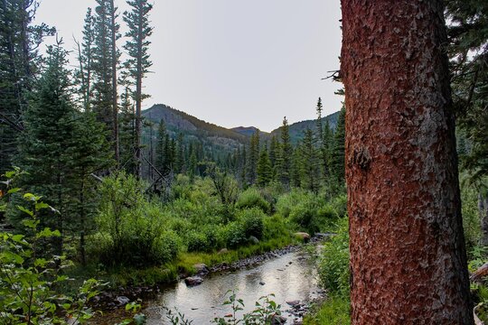 Landscape in the Mountains