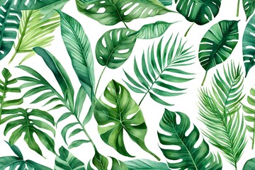 Fototapeta na wymiar Watercolor set of tropical leaves on white background. Philodendron leaves, calathea, palm leaves, scindapsus leaves. Hand drawn botany set. Illustration fo