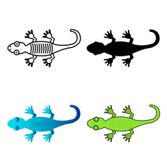 Abstract Flat Gecko Reptile Silhouette Illustration