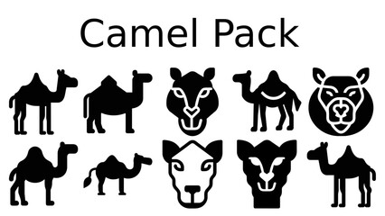 Minimalist Camel Icon for Modern Design