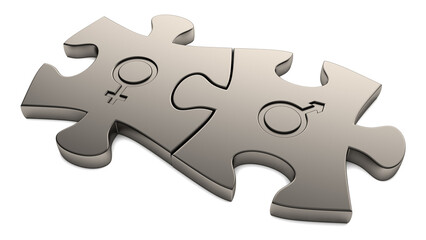 Male and female signs on puzzles. 3D render