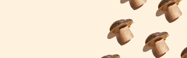 Forest mushrooms on pastel background with shadows. Autumn season minimal background concept. Copy space. Space for text. Banner or header. Green living, eco-friendly products. Flat lay. Top view