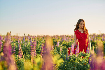 beautiful girl in a red dress with a bouquet of lupine flowers in the field