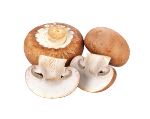 champignon mushrooms transparent png