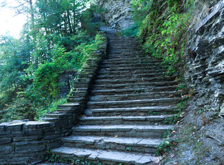 stairs in the forest