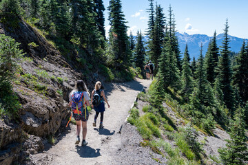 Fototapeta na wymiar Hikers on Hurricane Ridge trail in Olympic National Park, Washington on sunny summer afternoon.