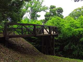 wooden railway bridge in the park. juicy greens, bright fabulous colors
