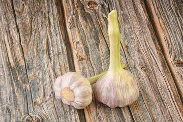 Two Young garlic over background