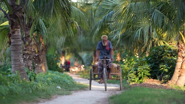 Aged person riding a tricycle in a village road. Beautiful rural area of Bangladesh. Countryside scene in 4k UHD.