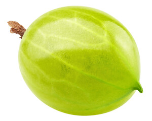 Gooseberry isolated on white background, full depth of field