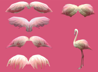 flamingo and wings couples isolated on pink background