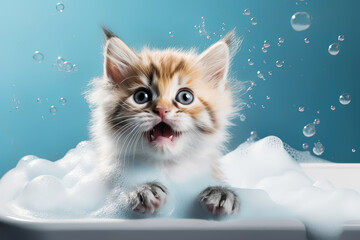 Cute alarmed fluffy adorable kitten in a bathtub relaxing. grooming concept, care pet