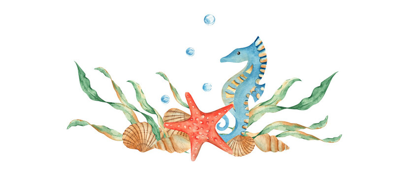 Underwater garland composition of cute seahorse, seaweeds, red starfish, seashells and watter bubbles. Watercolor marine illustration. For cards, menu, marine beach design.