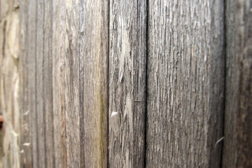 Wooden wall texture