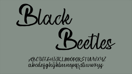Brush vector font, handmade font uppercase and lowercase.